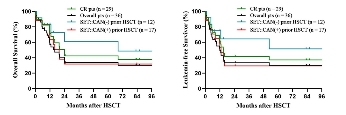 6953801b725ab.jpg 6953801b725ab.jpg