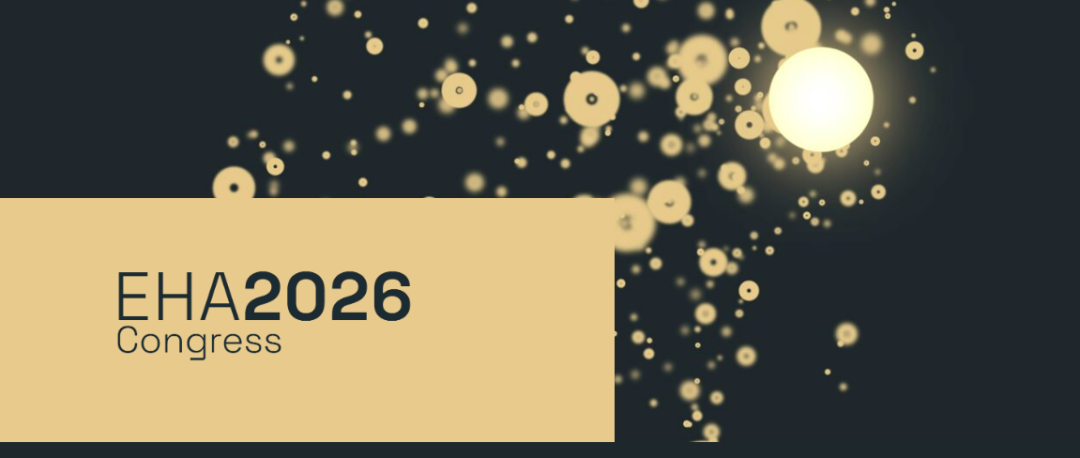6a3b94cedfc2a.png